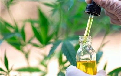 9 преимуществ масла CBD для здоровья и побочные эффекты