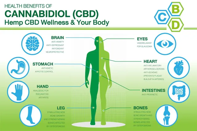 5 главных преимуществ масла CBD для здоровья — и взгляд на побочные эффекты
