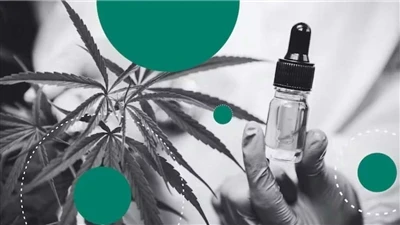 Почему CBD — лучшие натуральные бальзамы для губ